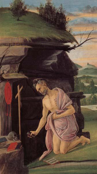 Alessandro Botticelli St.Jerome Norge oil painting art